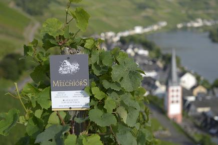  Für 2 Personen: Hübsches Apartment / Ferienwohnung in der Region Mosel-Saar-Ruwer