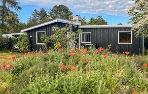 Gemütliches Ferienhaus : Region Fårevejle für 6 Personen