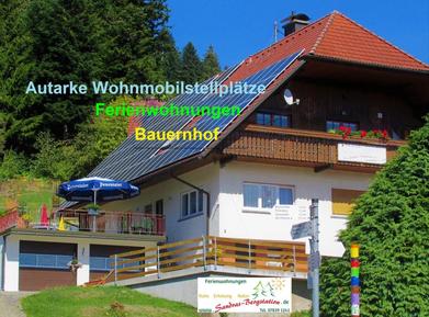  Für 3 Personen: Hübsches Apartment / Ferienwohnung in der Region Schapbach