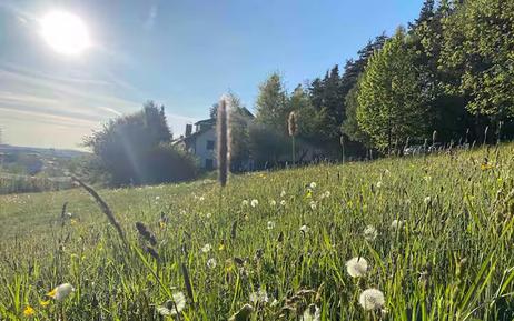 Gemütliches Ferienhaus : Region Bayern für 4 Personen