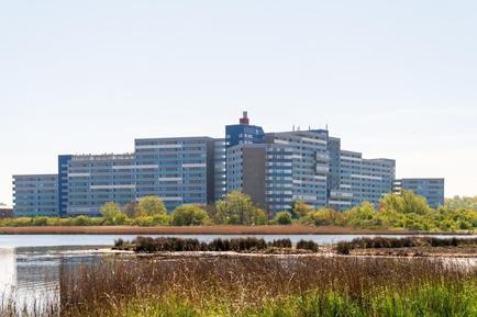  Für 5 Personen: Hübsches Apartment / Ferienwohnung in der Region Heiligenhafen