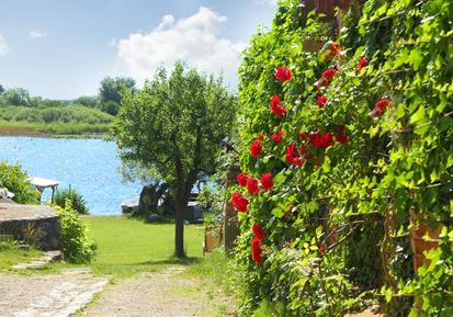  Für 3 Personen: Hübsches Apartment / Ferienwohnung in der Region Röbel/Müritz