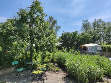 Gemütliches Ferienhaus : Region Friesland für 4 Personen