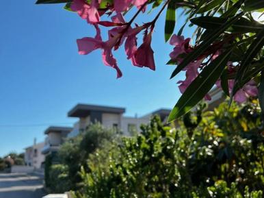  Für 10 Personen: Hübsches Apartment / Ferienwohnung in der Region Krk