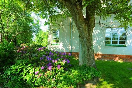  Für 4 Personen: Hübsches Apartment / Ferienwohnung in der Region Ueckermünde-Bellin