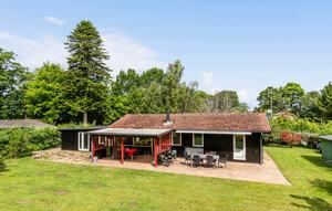 Gemütliches Ferienhaus : Region Seeland für 4 Personen