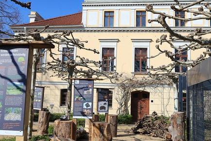  Für 6 Personen: Hübsches Apartment / Ferienwohnung in der Region Lausitz
