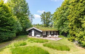 Gemütliches Ferienhaus : Region Dronningmølle für 6 Personen