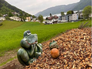  Für 3 Personen: Hübsches Apartment / Ferienwohnung in der Region Kärnten