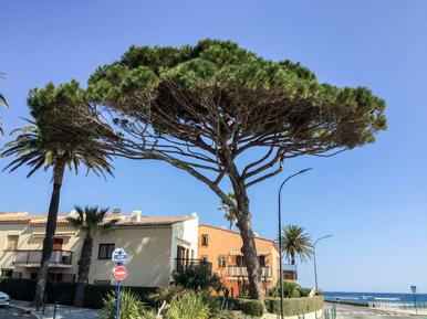 Für 4 Personen: Hübsches Apartment / Ferienwohnung in der Region Sainte-Maxime