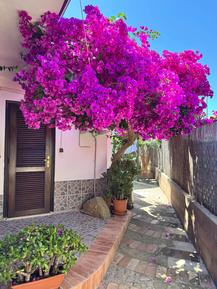 Room : Region Santa Domenica di Ricadi für 2 Personen