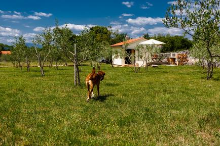  Für 2 Personen: Hübsches Apartment / Ferienwohnung in der Region Oštrobradik