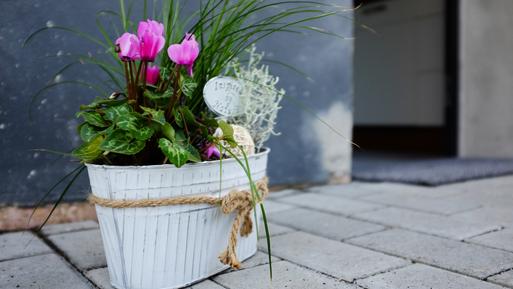  Für 4 Personen: Hübsches Apartment / Ferienwohnung in der Region Rheinland-Pfalz