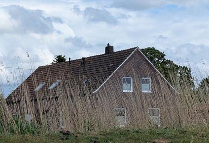 Für 3 Personen: Hübsches Apartment / Ferienwohnung in der Region Ostrhauderfehn