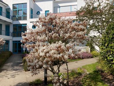  Für 4 Personen: Hübsches Apartment / Ferienwohnung in der Region Ostseebad Kühlungsborn