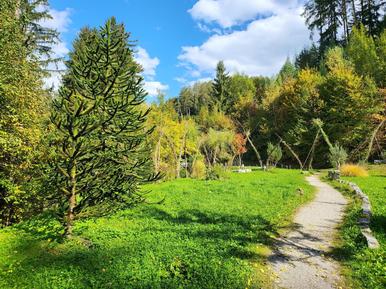  Für 6 Personen: Hübsches Apartment / Ferienwohnung in der Region Schwaz