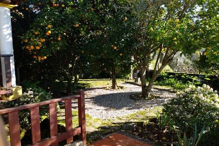 Gemütliches Ferienhaus : Region Costa de Prata für 6 Personen
