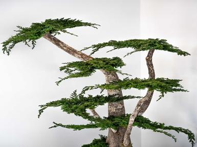 Für 10 Personen: Hübsches Apartment / Ferienwohnung in der Region Monaco