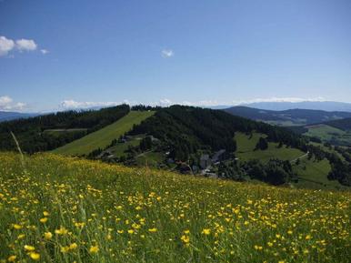 Gemütliches Ferienhaus : Region Kärnten für 4 Personen
