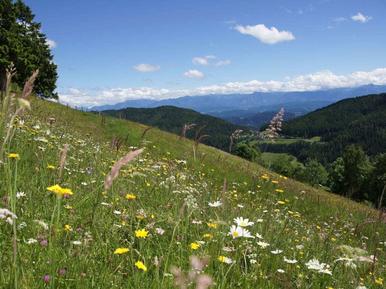 Gemütliches Ferienhaus : Region Kärnten für 4 Personen