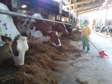 Gemütliches Ferienhaus : Region Bunsoh für 5 Personen