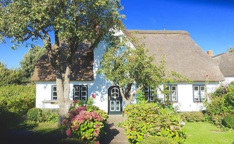 Gemütliches Ferienhaus : Region Föhr für 4 Personen