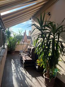  Für 3 Personen: Hübsches Apartment / Ferienwohnung in der Region Rom – Monte Mario