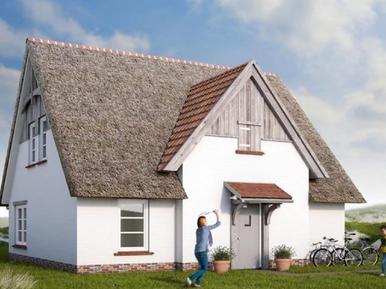 Gemütliches Ferienhaus : Region Nieuwvliet Bad für 10 Personen