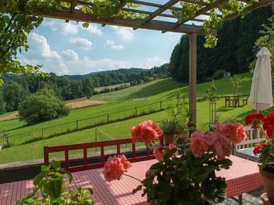 Gemütliches Ferienhaus : Region Nußdorf am Attersee für 3 Personen