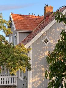 Für 4 Personen: Hübsches Apartment / Ferienwohnung in der Region Schweden