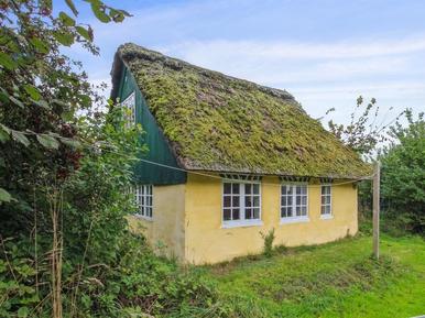 Gemütliches Ferienhaus : Region Südjütland für 4 Personen
