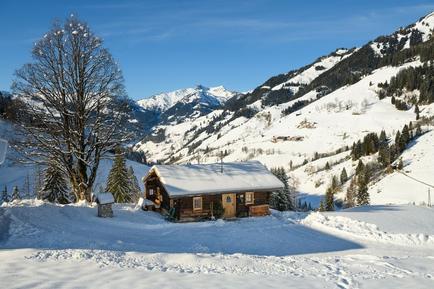 Gemütliches Ferienhaus : Region Großarl für 5 Personen