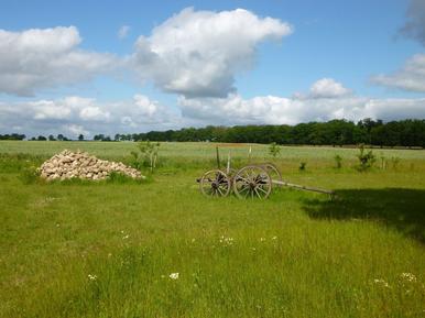 Gemütliches Ferienhaus : Region Torgelow am See für 4 Personen