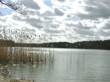  Für 6 Personen: Hübsches Apartment / Ferienwohnung in der Region Brandenburg