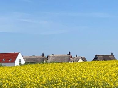  Für 7 Personen: Hübsches Apartment / Ferienwohnung in der Region Groß Schwansee