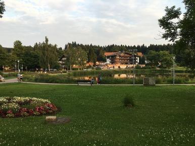 Gemütliches Ferienhaus : Region Harz für 5 Personen