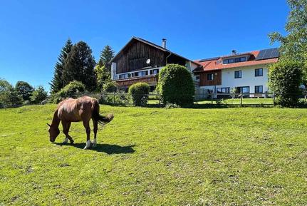  Für 6 Personen: Hübsches Apartment / Ferienwohnung in der Region Nesselwang