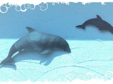 Gemütliches Ferienhaus : Region Dorumer Neufeld für 6 Personen