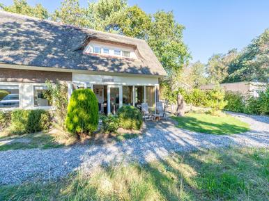 Gemütliches Ferienhaus : Region Den Burg für 4 Personen