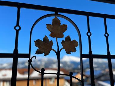  Für 3 Personen: Hübsches Apartment / Ferienwohnung in der Region Bolsterlang