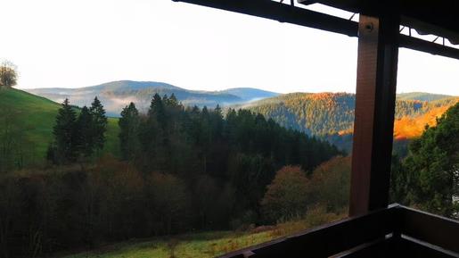  Für 3 Personen: Hübsches Apartment / Ferienwohnung in der Region Sankt Andreasberg