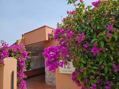  Für 4 Personen: Hübsches Apartment / Ferienwohnung in der Region Costa Rei