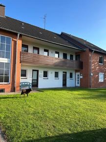  Für 3 Personen: Hübsches Apartment / Ferienwohnung in der Region Friedrichskoog