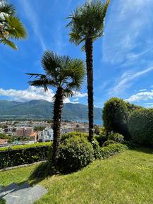  Für 4 Personen: Hübsches Apartment / Ferienwohnung in der Region Ascona