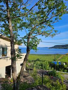 Gemütliches Ferienhaus : Region Südnorwegen für 6 Personen