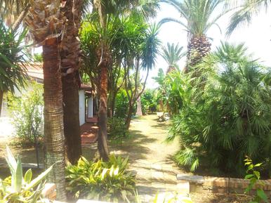 Ferienhaus, Strand: 1000 m