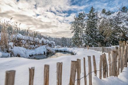  Für 3 Personen: Hübsches Apartment / Ferienwohnung in der Region Breitenberg