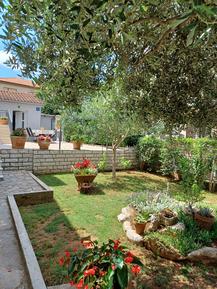 Gemütliches Ferienhaus : Region Istrien für 3 Personen